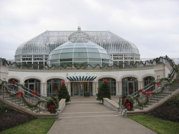 IMG_5761 Pittsburgh Phipps Conservatory.jpg